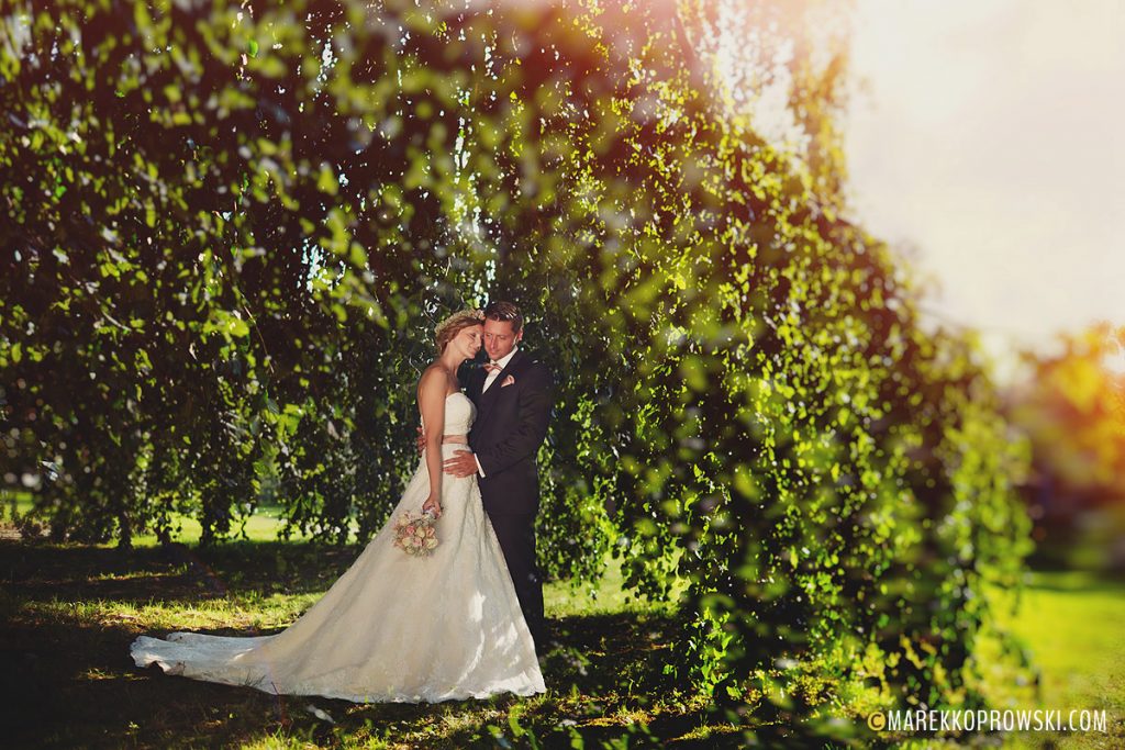 Podczas romantycznej sesji poślubnej para stanęła pod drzewem